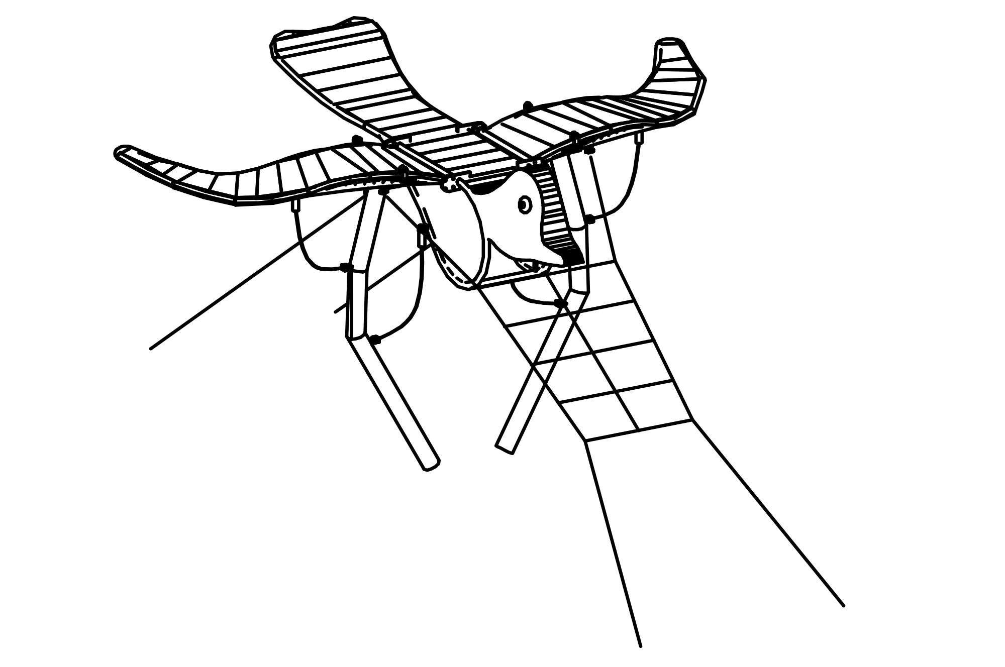 Ornithopter 