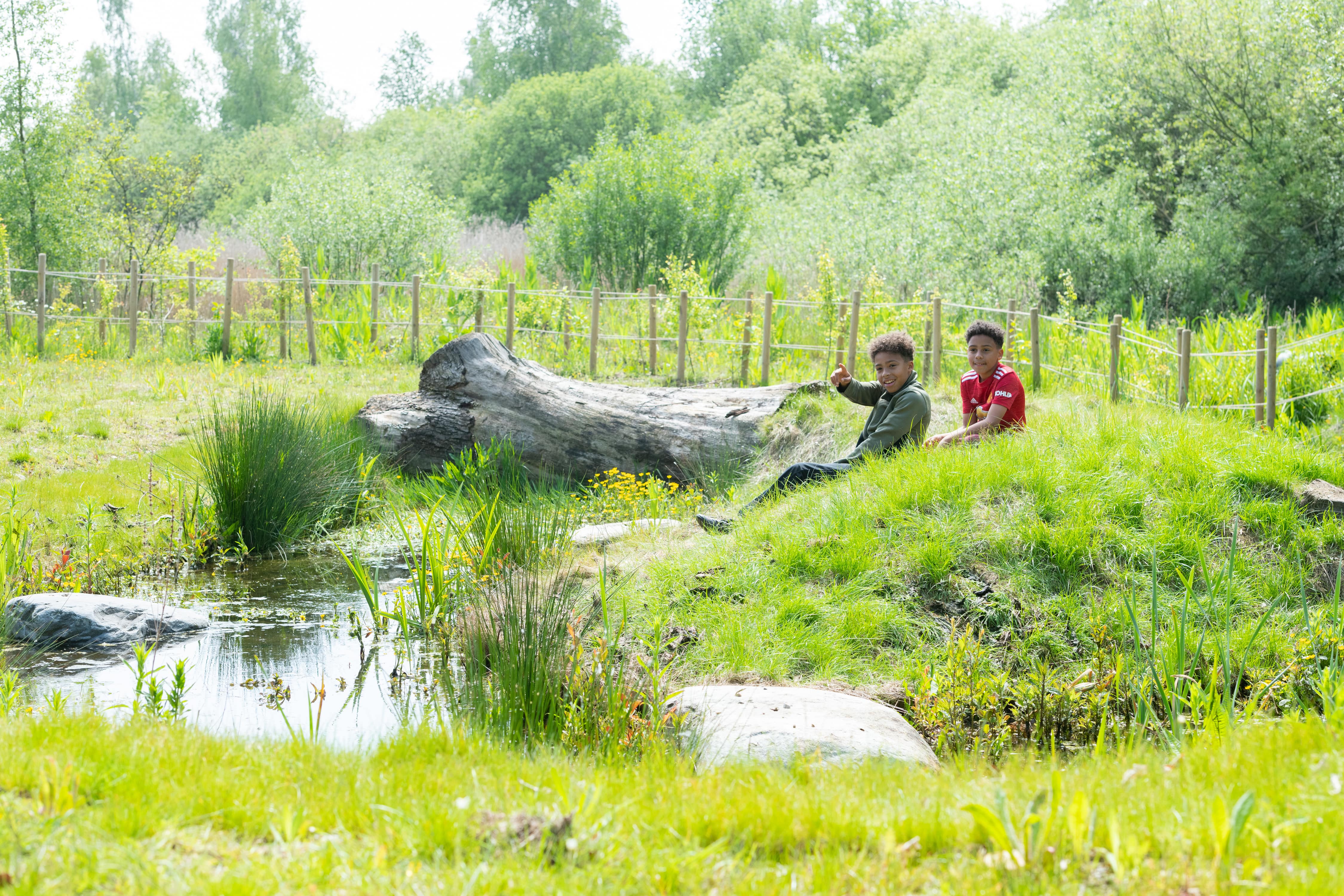 Natural Playspace with aesthetic scenery